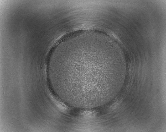 X0000063450542200601231354