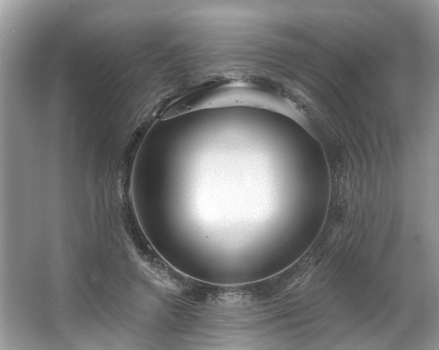 X0000063450546200601231355