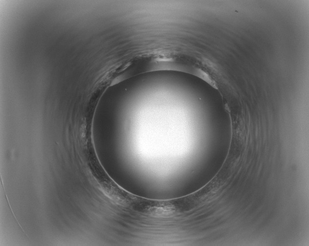 X0000063450548200601231355