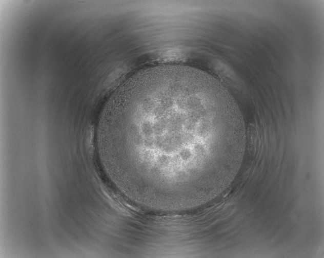 X0000063450550200601231355