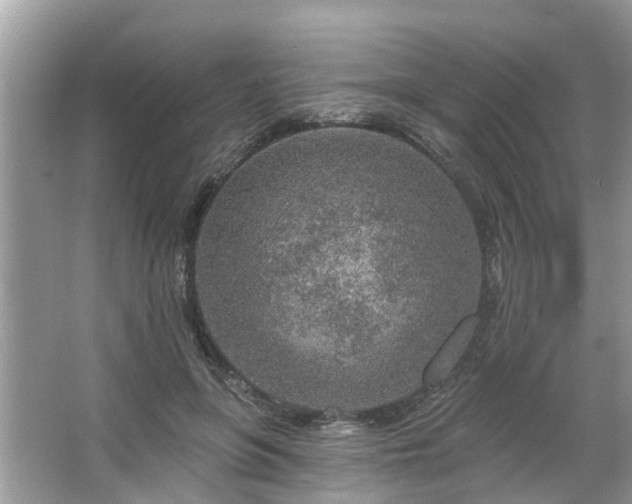 X0000063450551200601231355