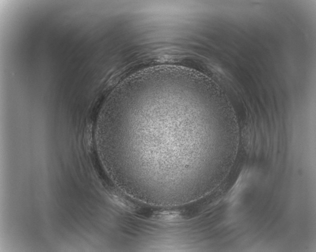 X0000063450554200601231355