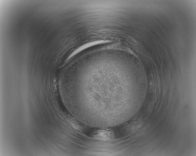 X0000063450555200601231355