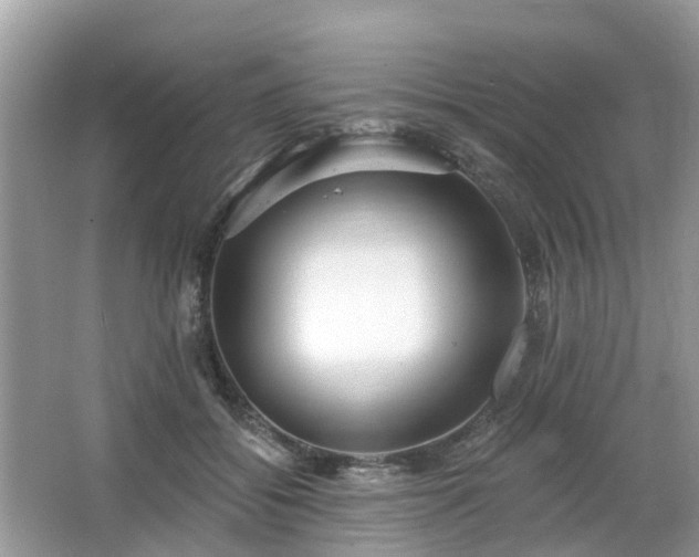 X0000063450556200601231355