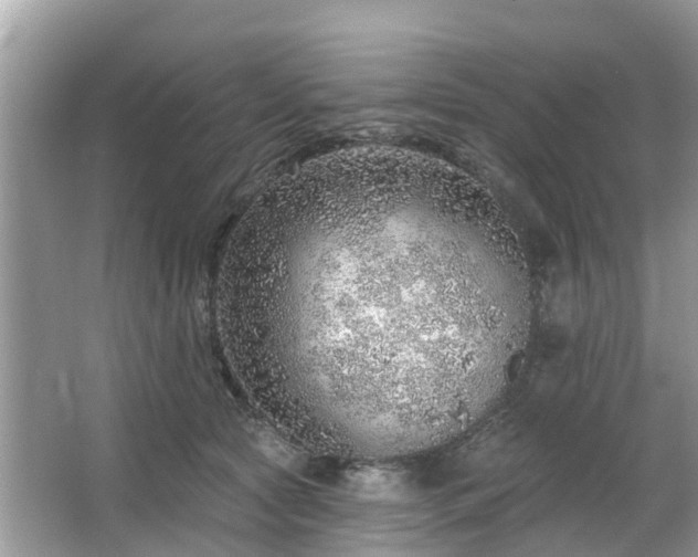 X0000063450561200601231355