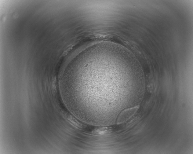 X0000063450563200601231355