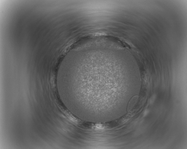 X0000063450565200601231355