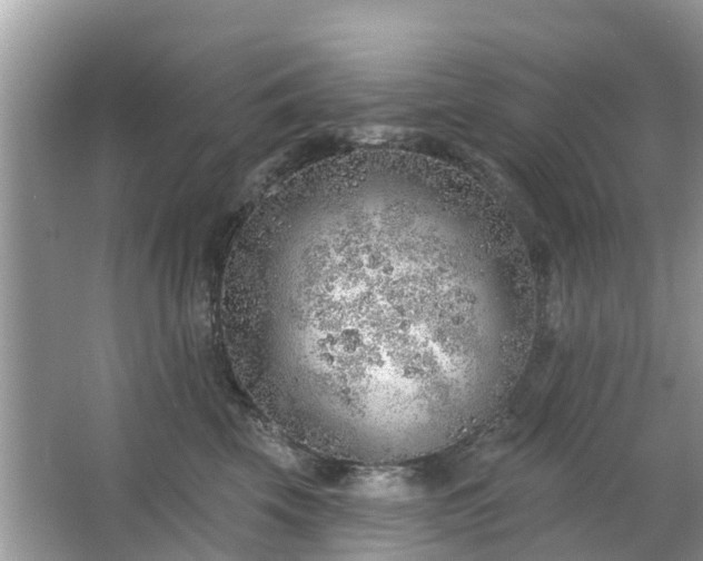 X0000063450569200601231355