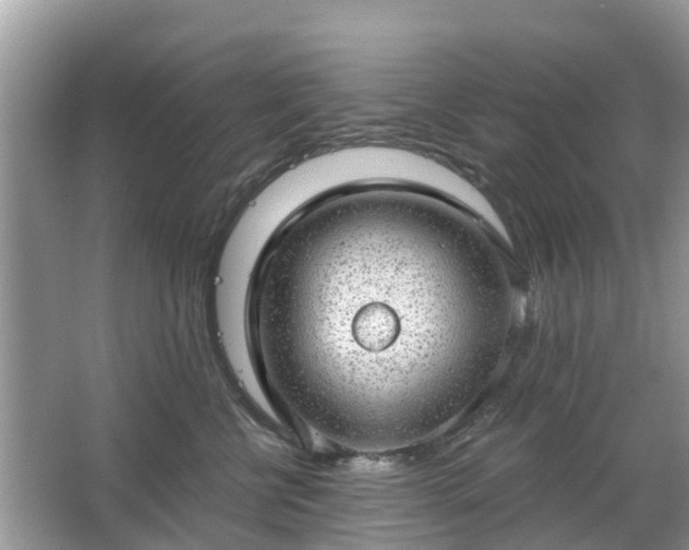 X0000063450570200601231355