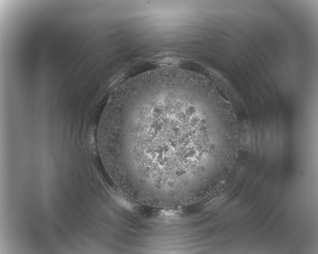 X0000063450573200601231355