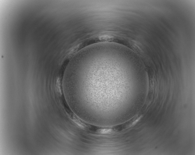 X0000063450575200601231355