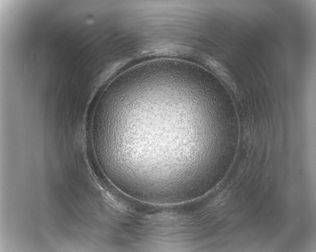 X0000063450578200601231354