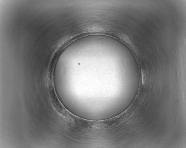 X0000063450579200601231354