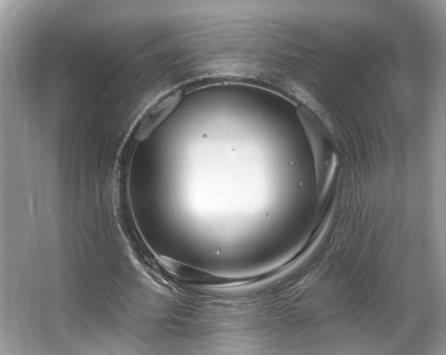 X0000063450580200601231354