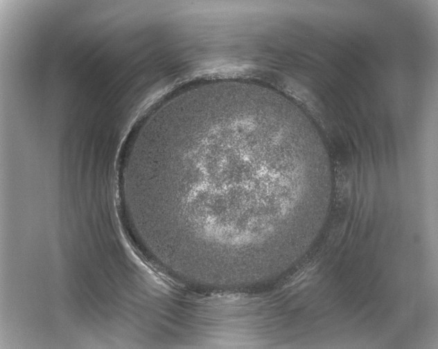 X0000063450582200601231354