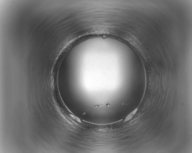 X0000063450584200601231354