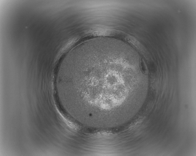 X0000063450586200601231354