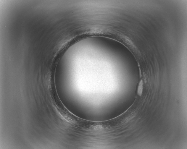 X0000063450588200601231354