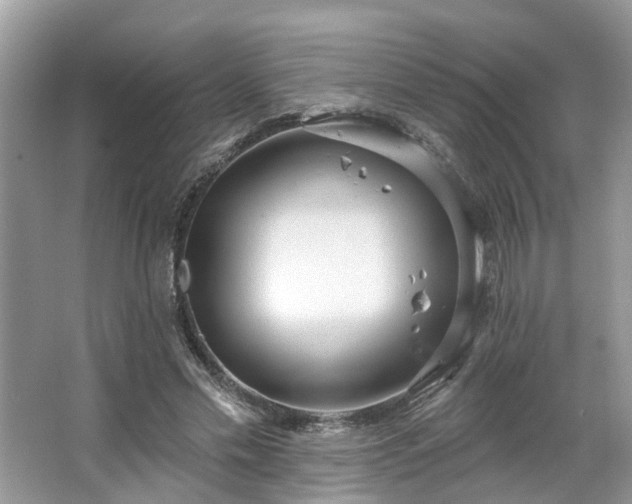 X0000063450589200601231354