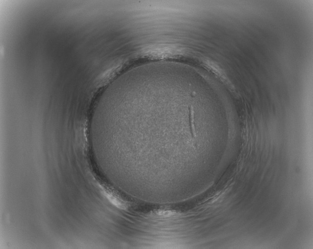 X0000063450590200601231354