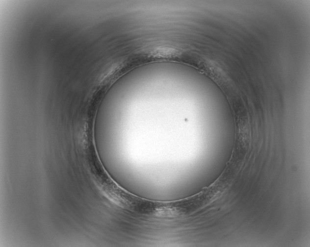 X0000063450591200601231354