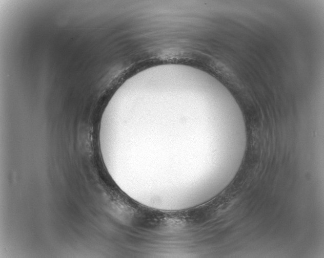 X0000063450592200601231354