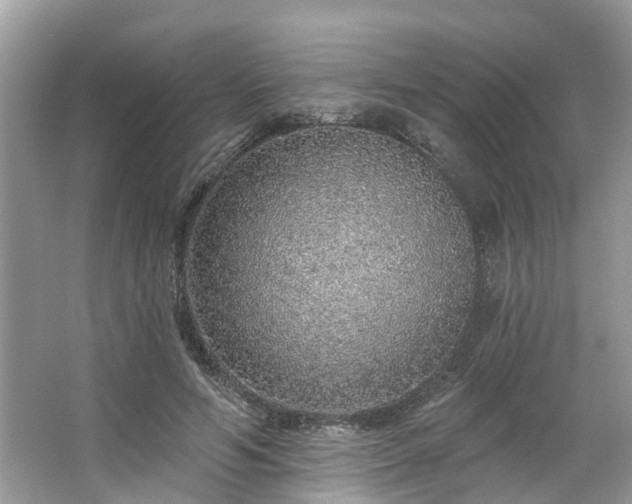 X0000063450594200601231354