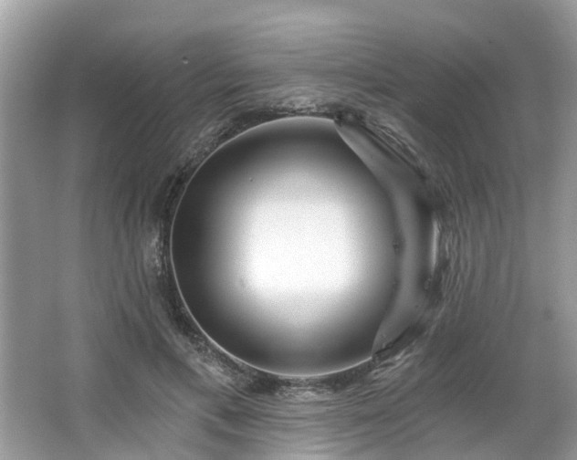 X0000063450597200601231354