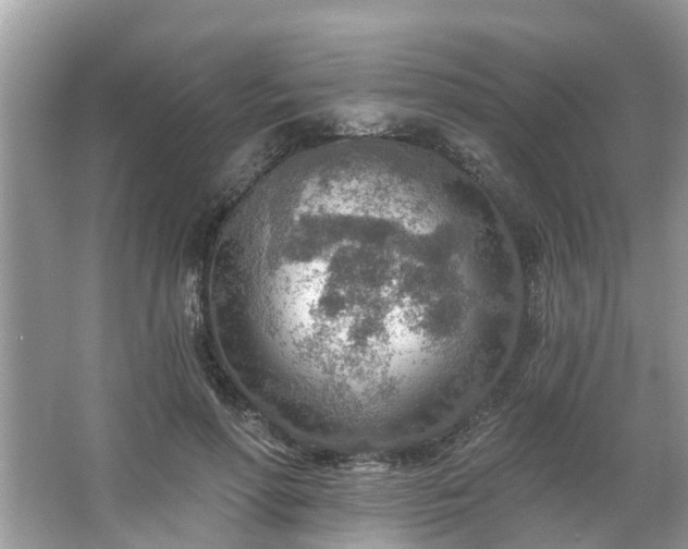 X0000063450598200601231354