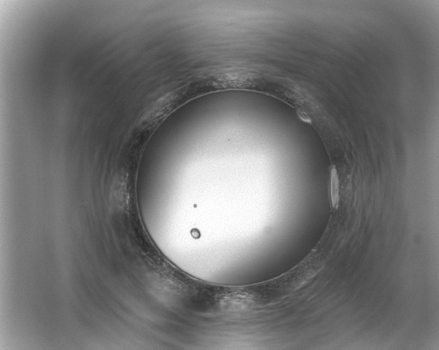 X0000063450599200601231354