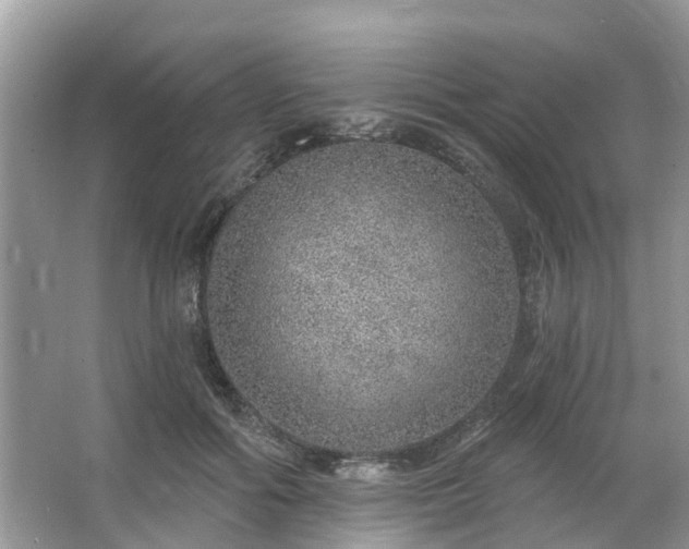 X0000063450602200601231354