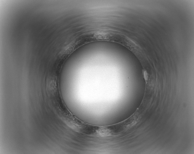 X0000063450603200601231354