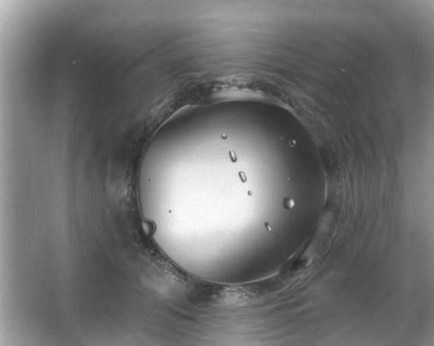 X0000063450608200601231354