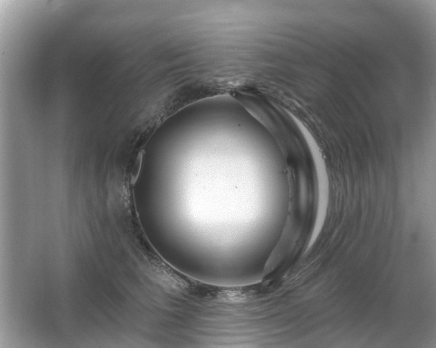 X0000063450613200601231354