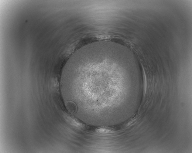 X0000063450614200601231354