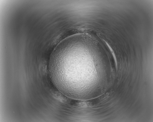 X0000063450615200601231354