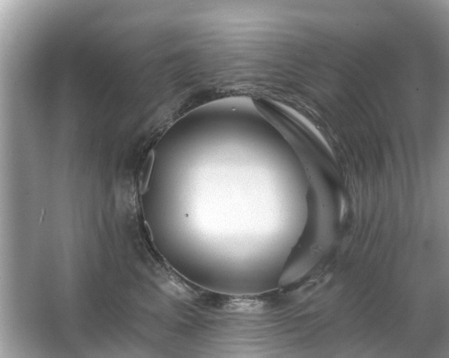 X0000063450617200601231354