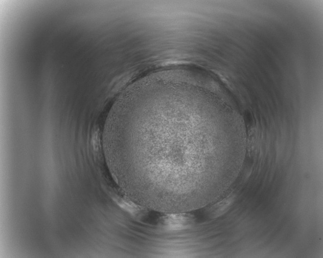 X0000063450623200601231353