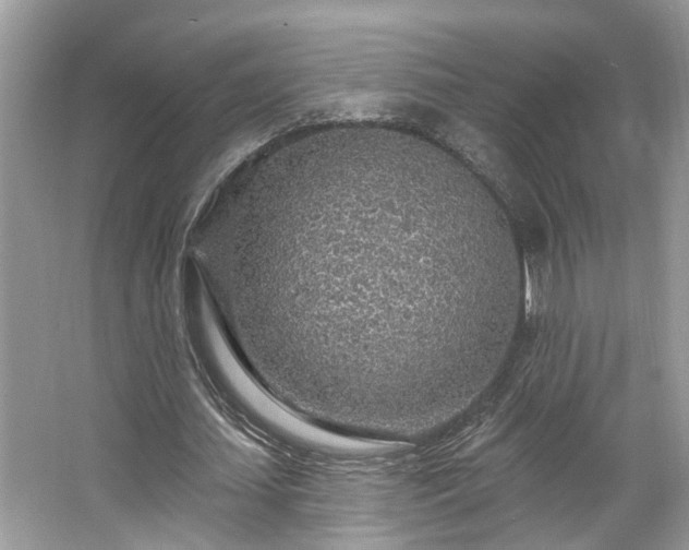 X0000063450627200601231353