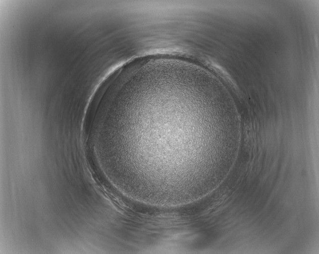 X0000063450628200601231353