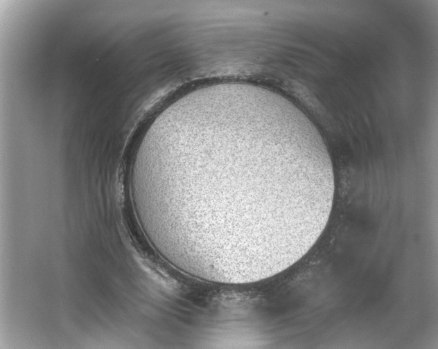 X0000063450632200601231353