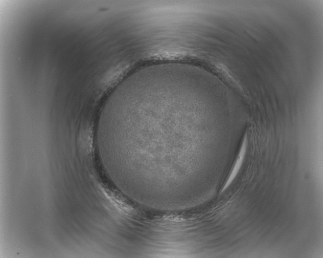 X0000063450640200601231353