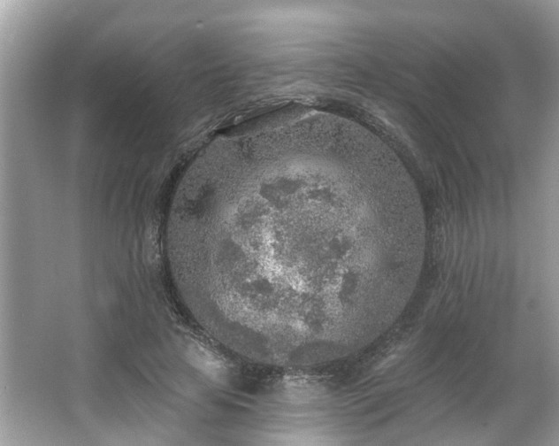 X0000063450641200601231353