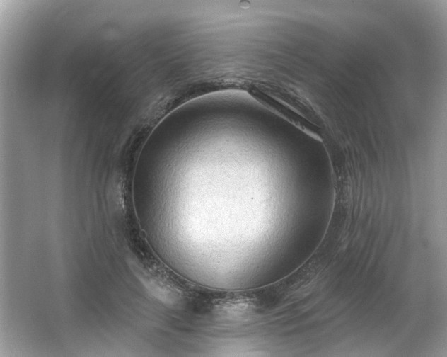 X0000063450643200601231353