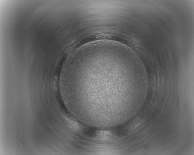 X0000063450649200601231353