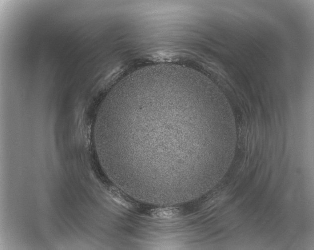 X0000063450652200601231353