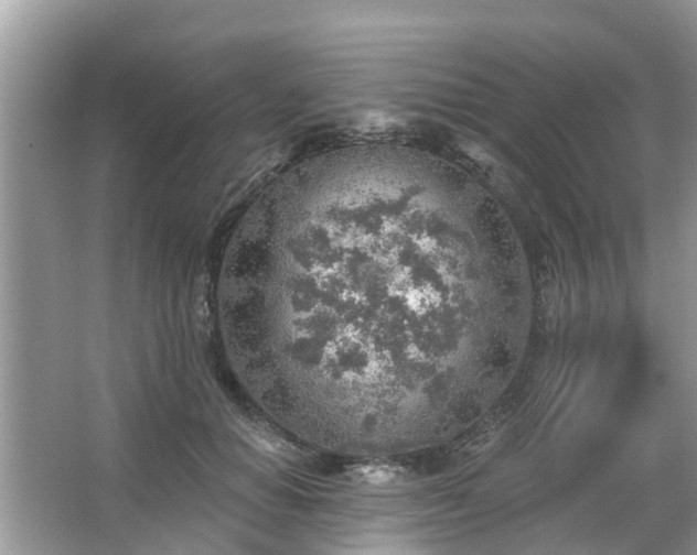 X0000063450654200601231353