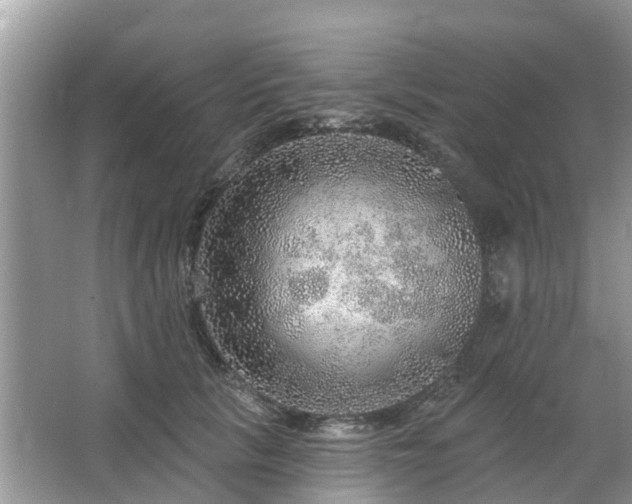 X0000063450657200601231353