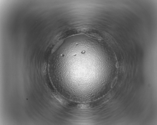 X0000063450660200601231353