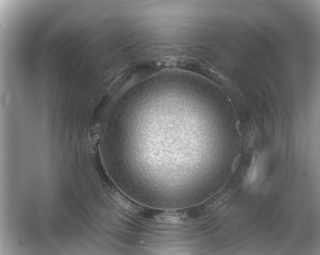 X0000063450661200601231353